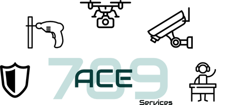 ACE789 Services